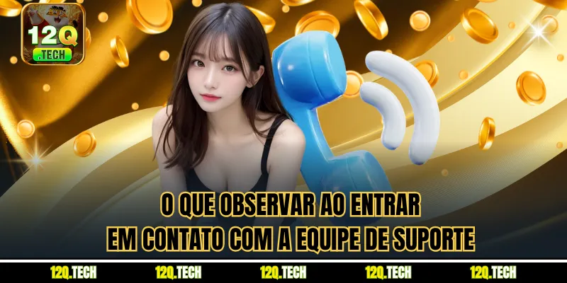 O que observar ao entrar em contato com a equipe de suporte
